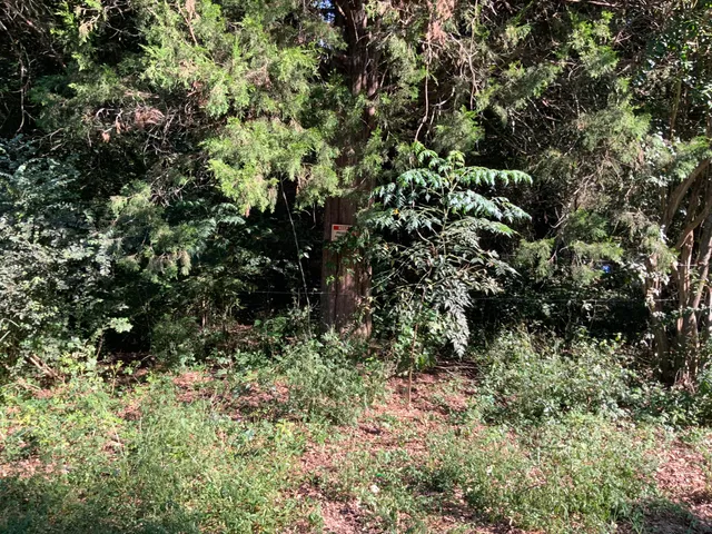 $29,900 | 123 Dawsey Street, Cordova, SC 29039