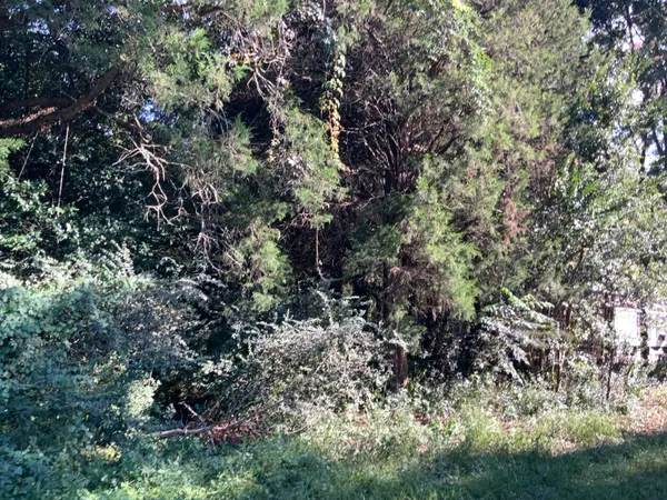 $29,900 | 123 Dawsey Street, Cordova, SC 29039