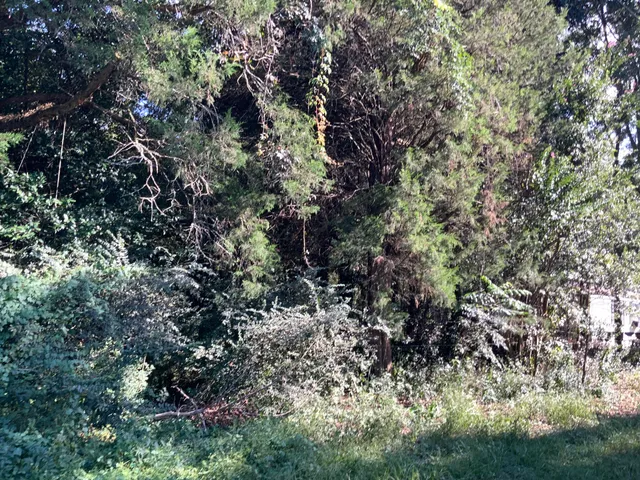 $29,900 | 123 Dawsey Street, Cordova, SC 29039