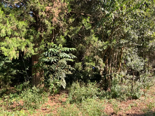 $29,900 | 123 Dawsey Street, Cordova, SC 29039