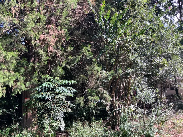 $29,900 | 123 Dawsey Street, Cordova, SC 29039