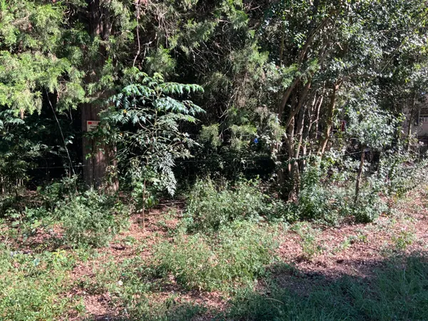 $29,900 | 123 Dawsey Street, Cordova, SC 29039