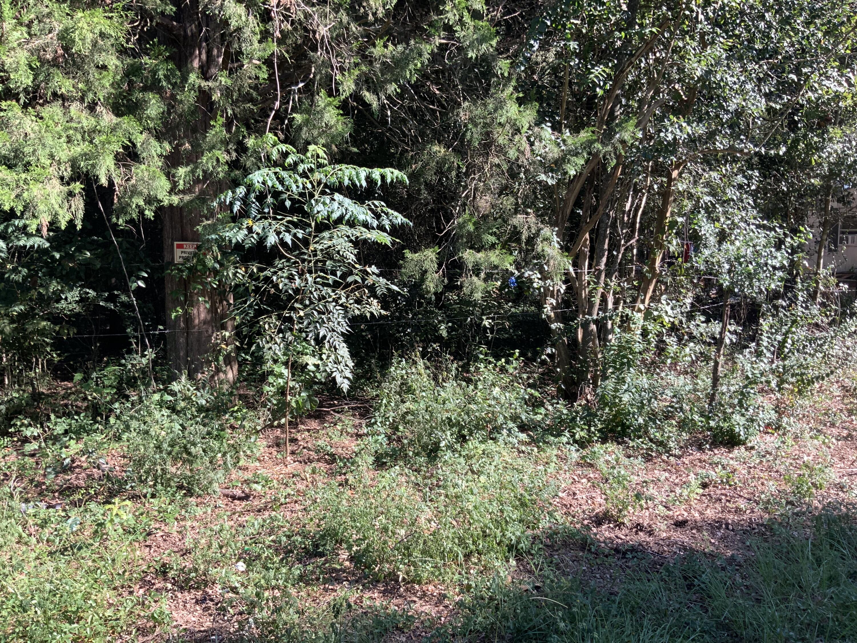 123 Dawsey Street Cordova, SC 29039 - Photo 10 of 20 IMG_0462