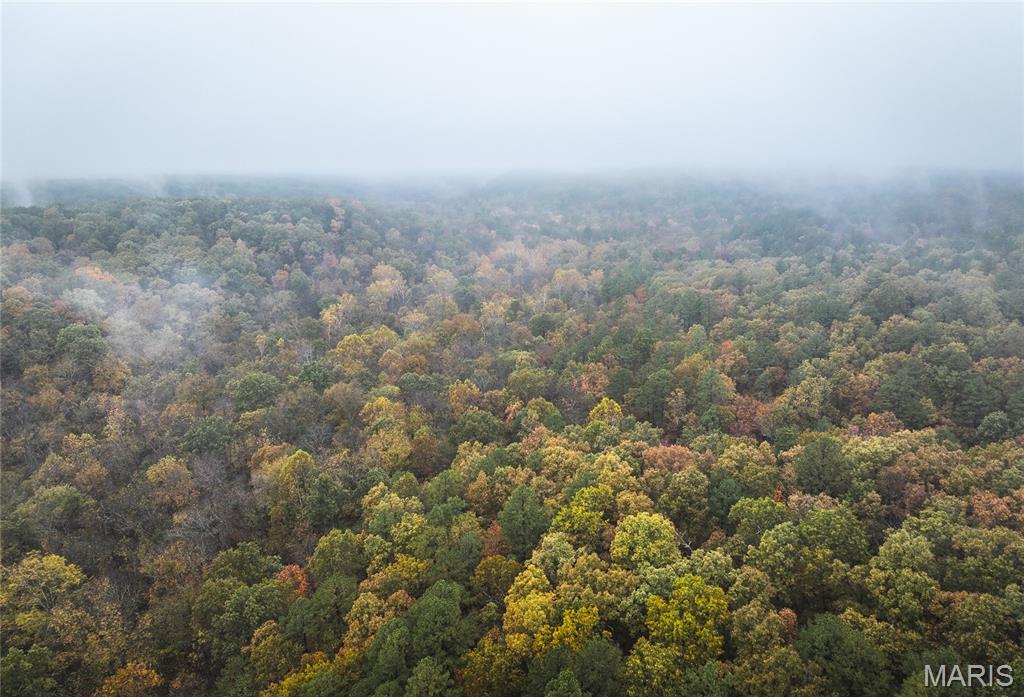 5 Lodge Road Potosi, MO 63664 - Photo 1 of 32