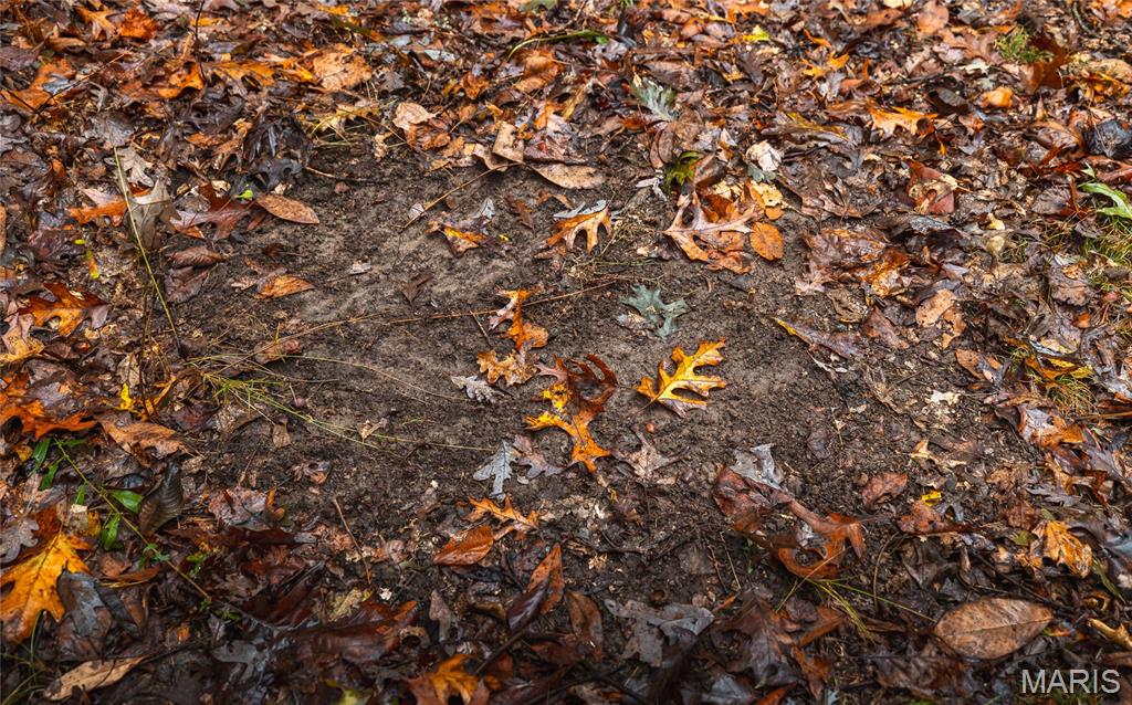 5 Lodge Road Potosi, MO 63664 - Photo 13 of 32