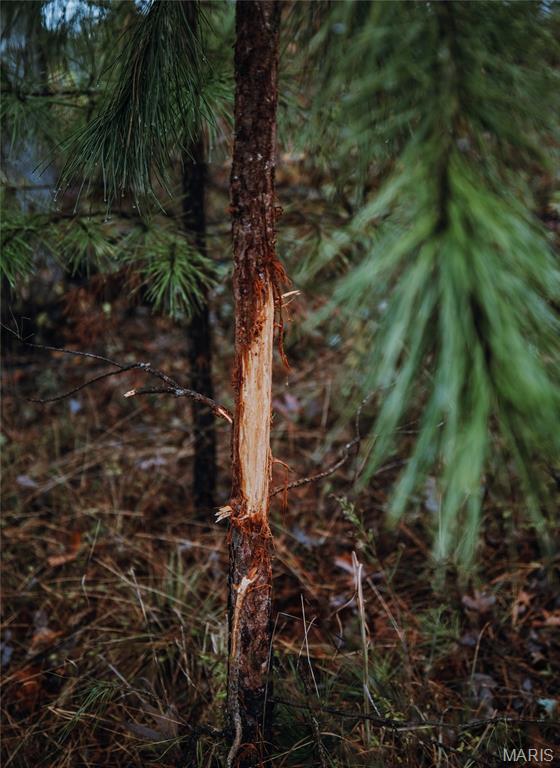 5 Lodge Road Potosi, MO 63664 - Photo 14 of 32