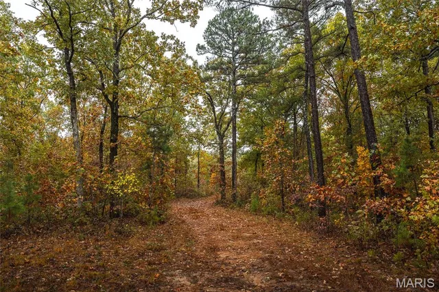 $215,000 | 5 Lodge Road, Potosi, MO 63664