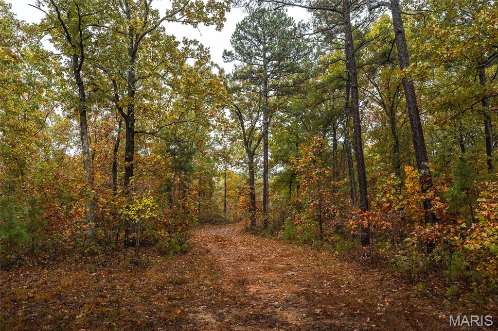 5 Lodge Road Potosi, MO 63664 - Photo 14 of 32