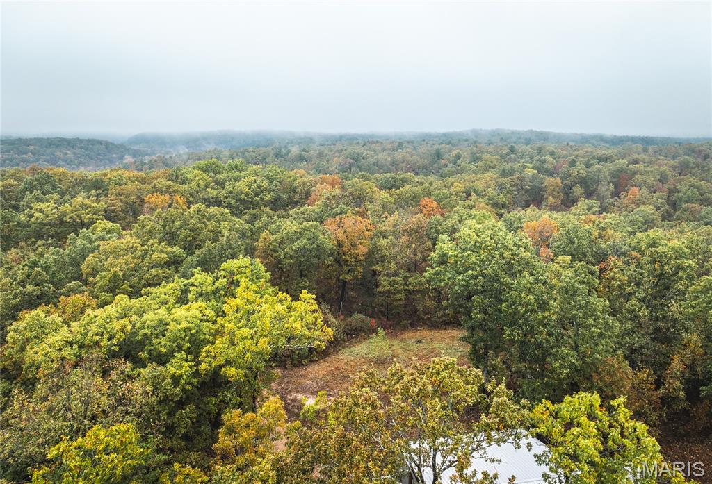 5 Lodge Road Potosi, MO 63664 - Photo 19 of 32