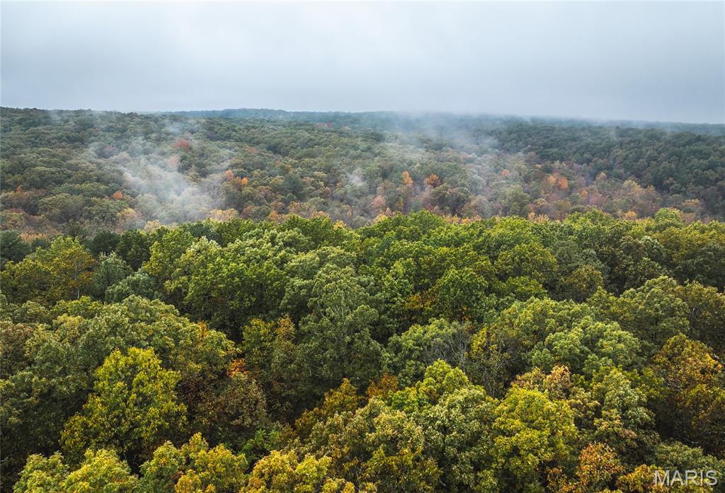 5 Lodge Road Potosi, MO 63664 - Photo 23 of 32