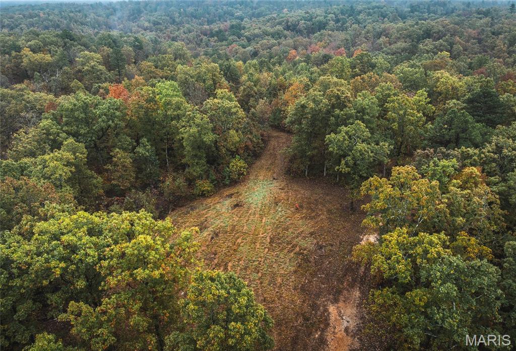 5 Lodge Road Potosi, MO 63664 - Photo 29 of 32