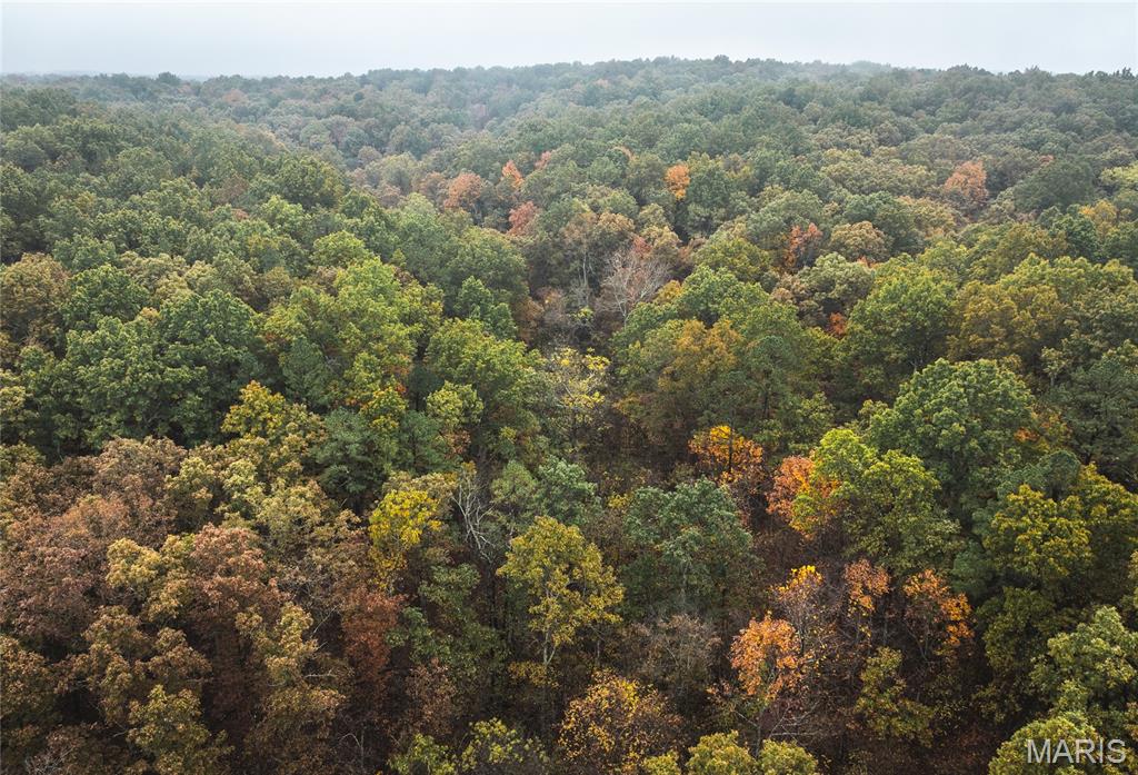 5 Lodge Road Potosi, MO 63664 - Photo 6 of 32