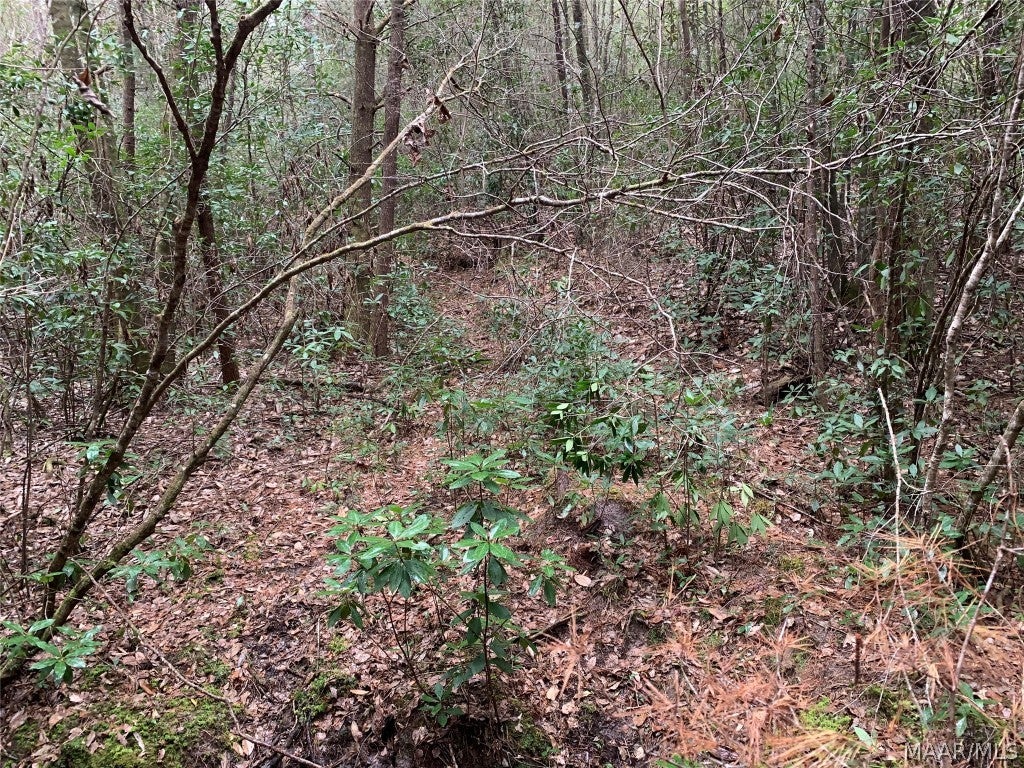 0 Ray Armstrong Road Andalusia, AL 36421 - Photo 34 of 34 Gallery Image 34