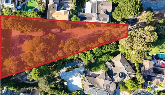 an outdoor space with plants