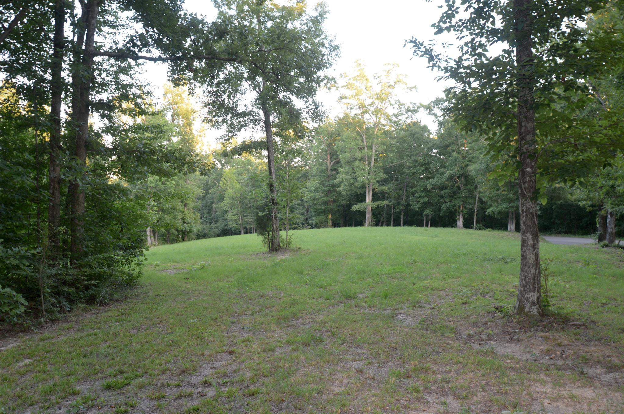 a view of outdoor space with trees all around