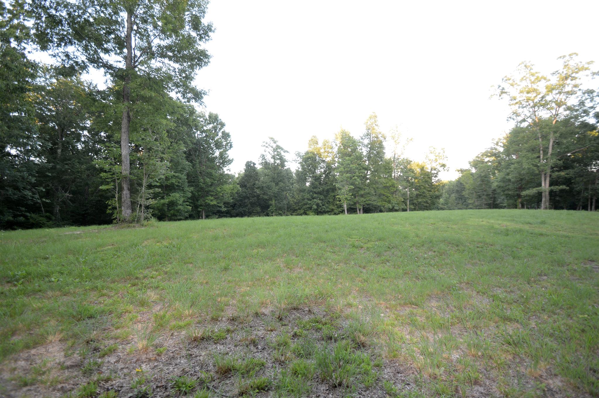 584 Jack Saunders Road Waverly, TN 37185 - Photo 2 of 10 a view of a outdoor space with field and trees