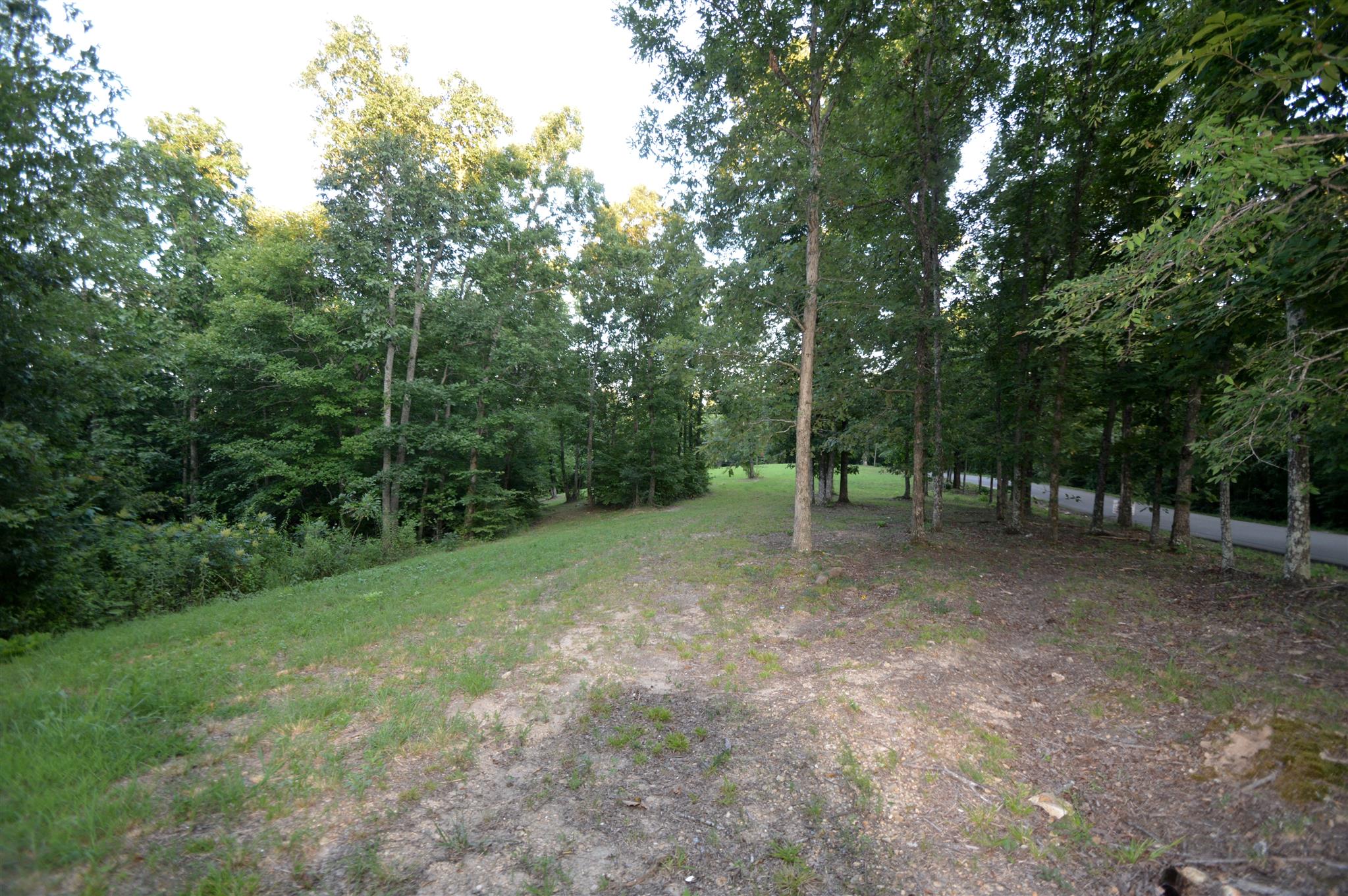 584 Jack Saunders Road Waverly, TN 37185 - Photo 3 of 10 a view of outdoor space and tree
