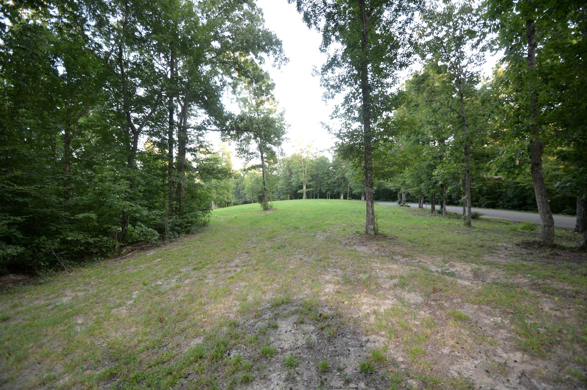 584 Jack Saunders Road Waverly, TN 37185 - Photo 5 of 10 a view of a park with trees in the background