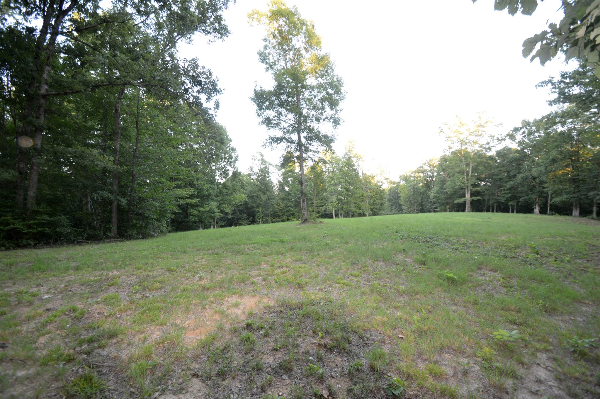 584 Jack Saunders Road Waverly, TN 37185 - Photo 6 of 10 a view of outdoor space with deck and yard