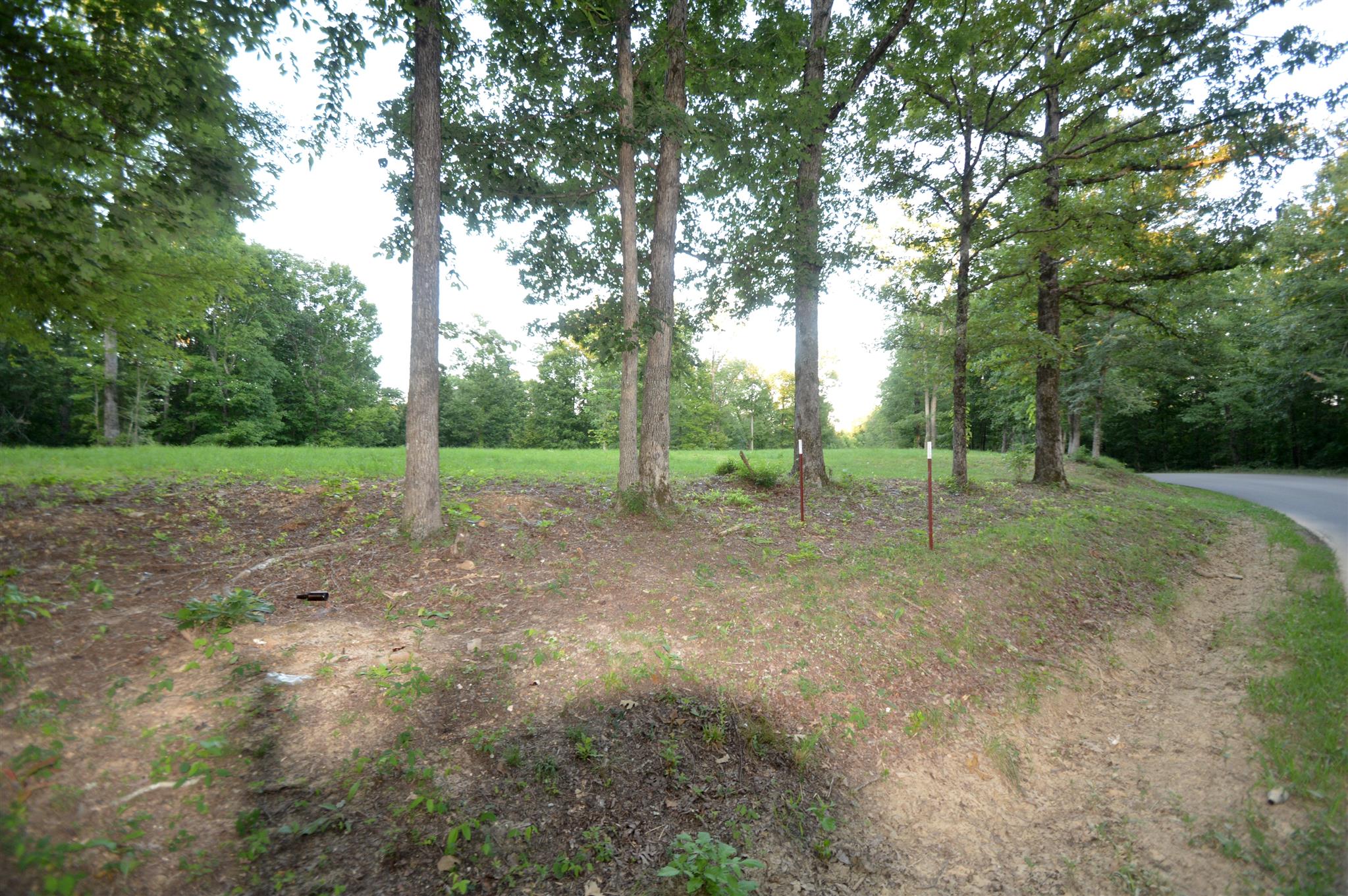 584 Jack Saunders Road Waverly, TN 37185 - Photo 7 of 10 a view of outdoor space with trees