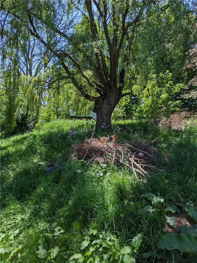 156 Water Street Perry, NY 14530 - Photo 9 of 10 back yard