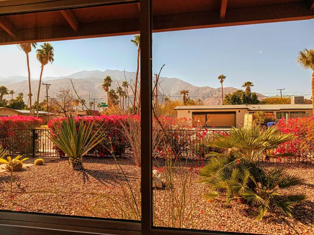 a view of outdoor space with lounge chairs