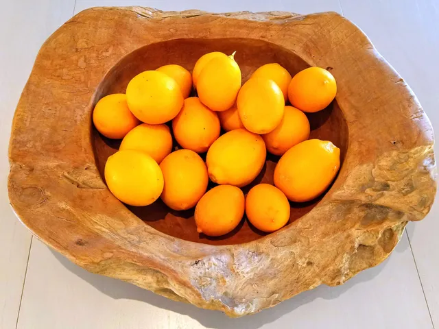 a view of a tennis court