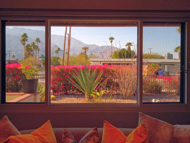 a view of a outdoor space with plants