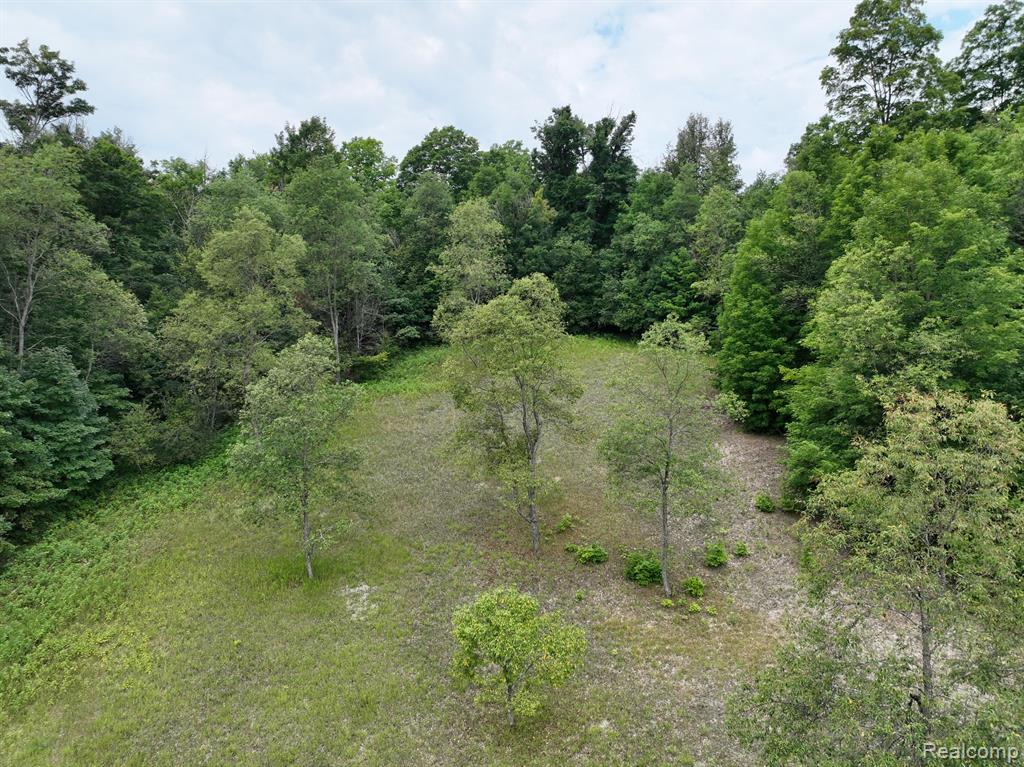 0 Leonard Road Mancelona, MI 49659 - Photo 1 of 7 Gallery Image 1