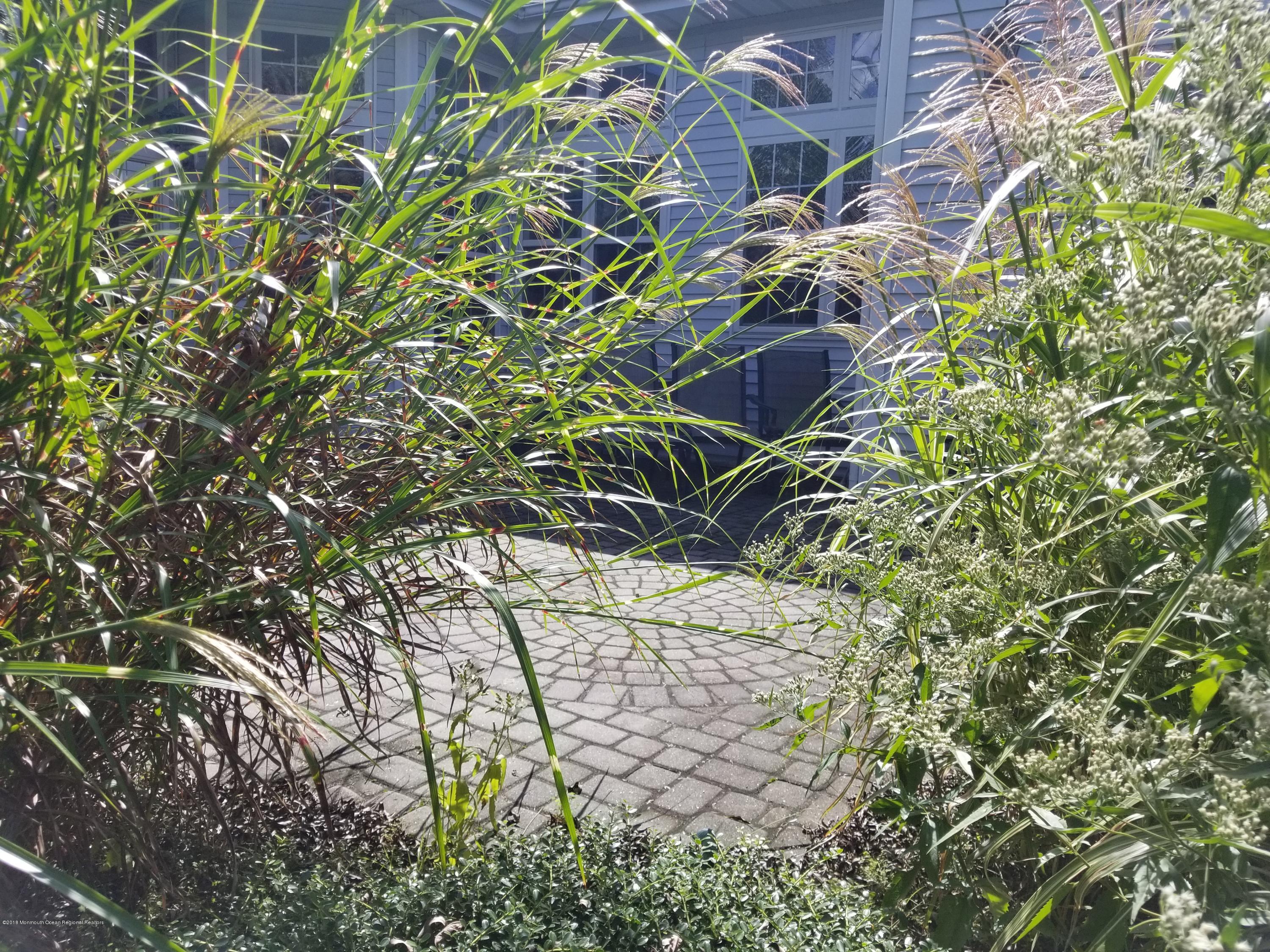 13 Ripple Terrace Barnegat, NJ 08005 - Photo 22 of 55 20180926_120912 - Copy