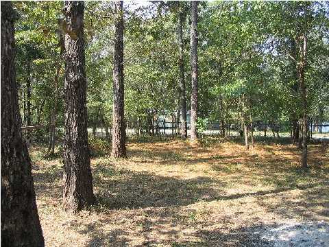 281 Piper''s Landing Road DeFuniak Springs, FL 32433 - Photo 7 of 12 Additional Photo