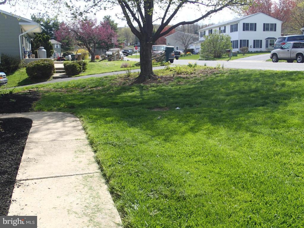 769 Ferndale Road Mount Joy, PA 17552 - Photo 6 of 63 Gallery Image 6