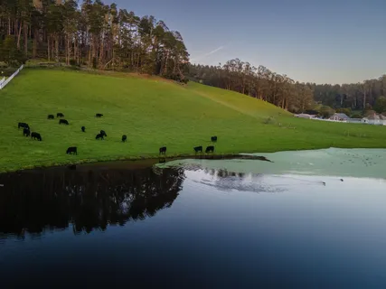 $1,549,000 | 350 6th Avenue, Half Moon Bay, CA 94019