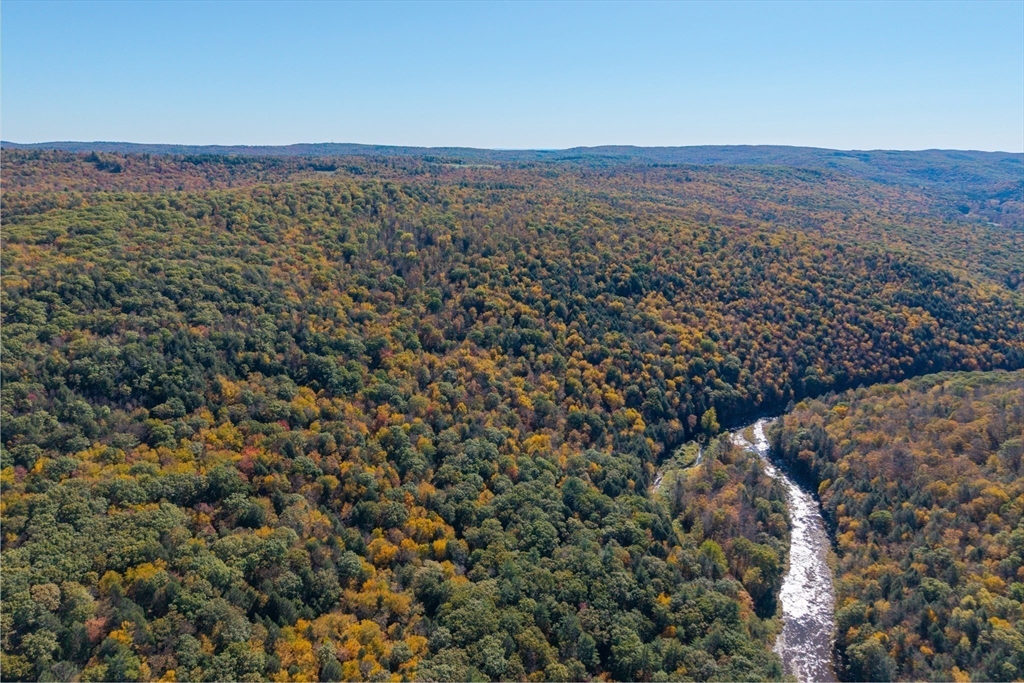 Off Bryant Street Chesterfield, MA 01012 - Photo 6 of 9