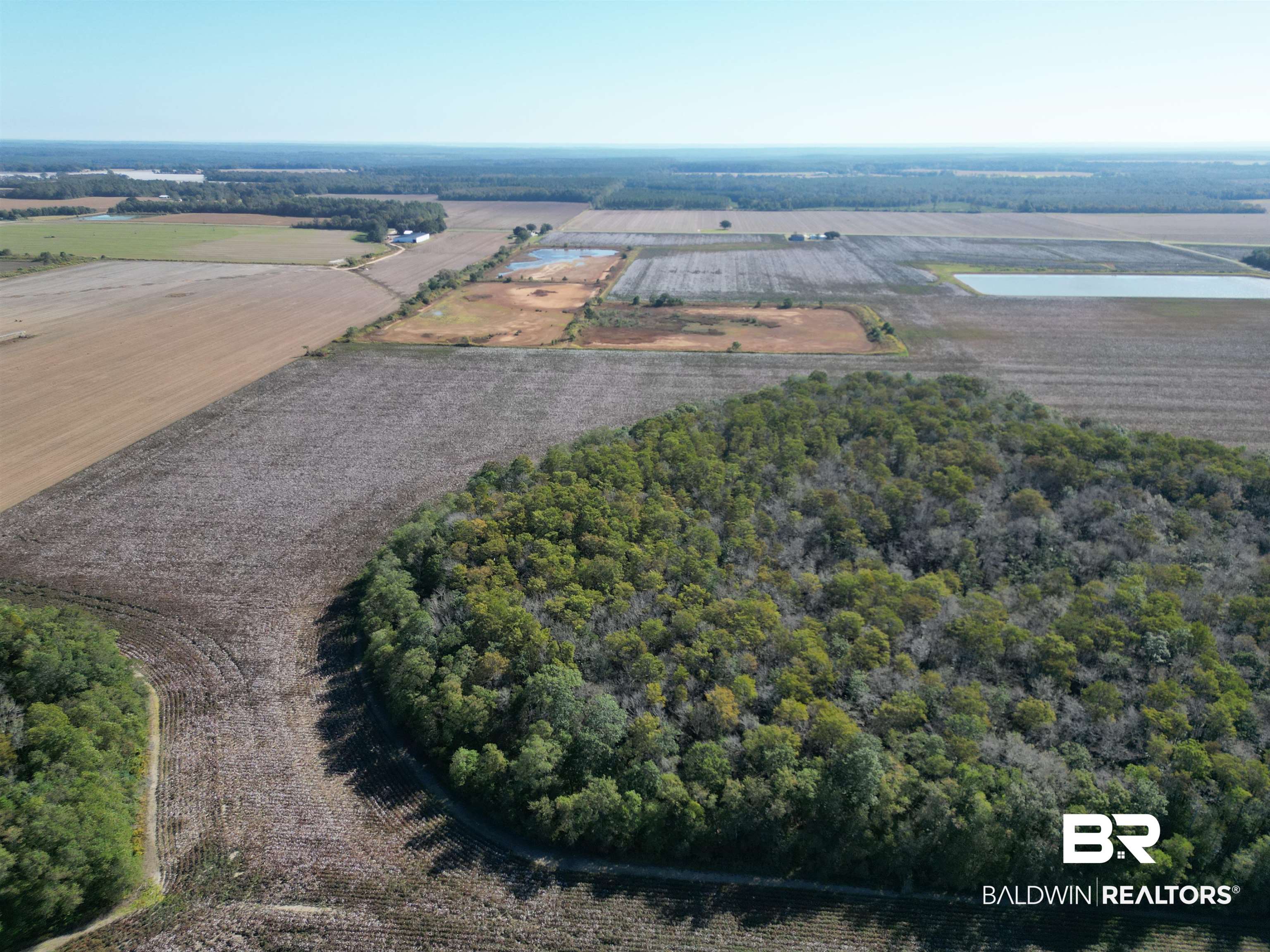 0 South Highway 99 Walnut Hill, FL 32568 - Photo 13 of 18 Bird's eye view featuring a rural view