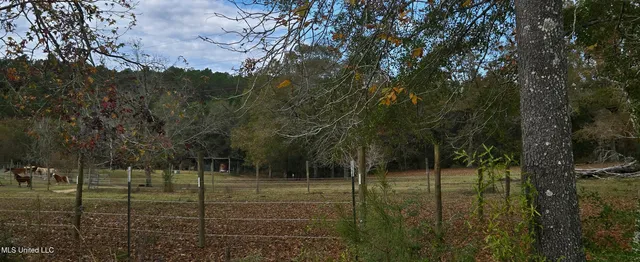 $299,000 | 37 Good Hope Road, Columbia, MS 39429