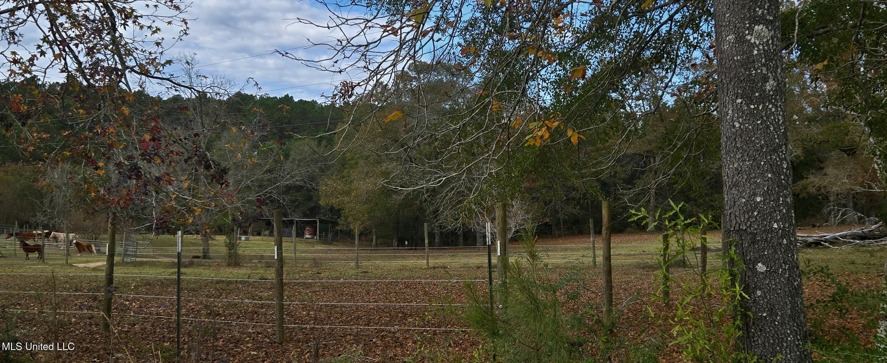 37 Good Hope Road Columbia, MS 39429 - Photo 103 of 127 20251129_131805