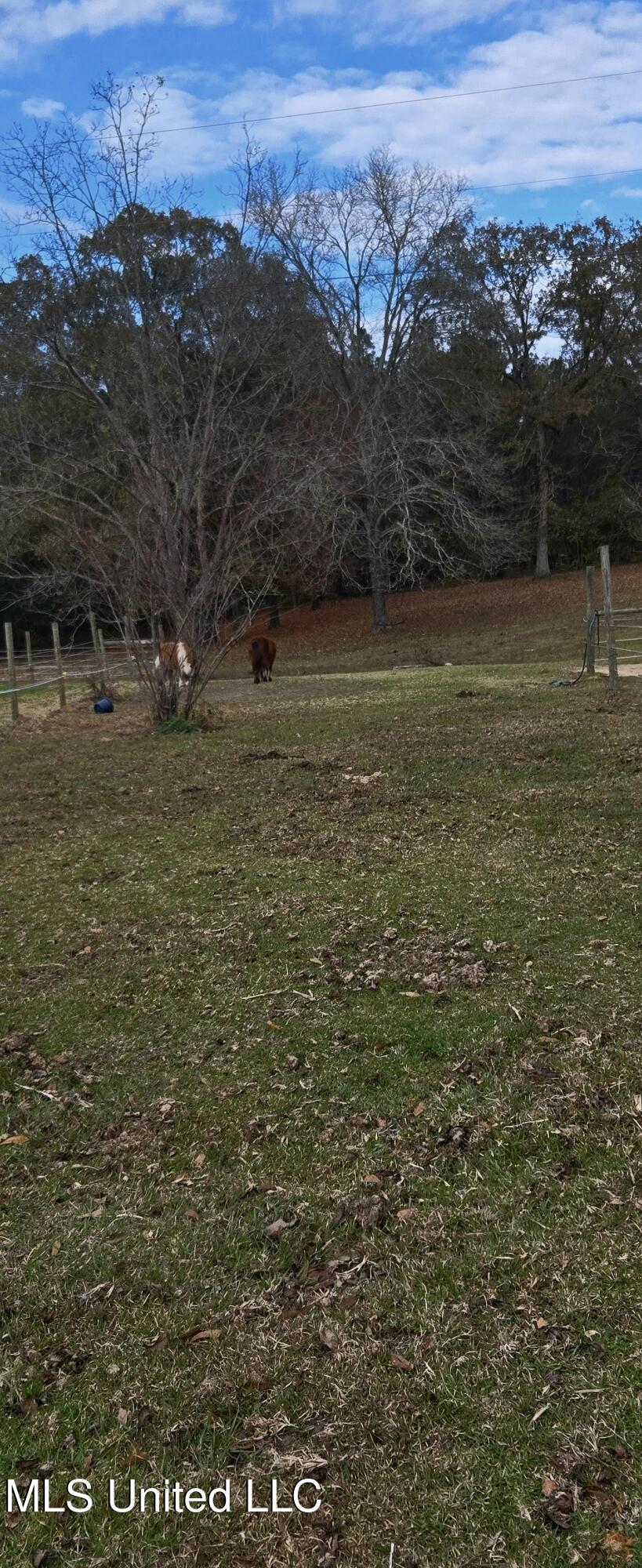 37 Good Hope Road Columbia, MS 39429 - Photo 107 of 127 20251129_132049