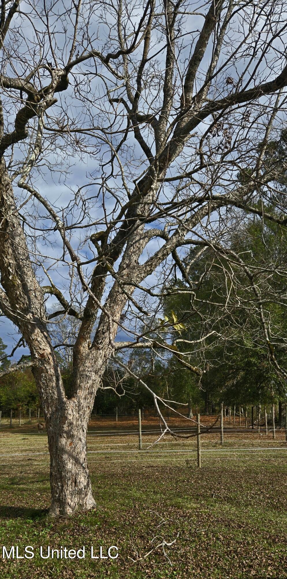 37 Good Hope Road Columbia, MS 39429 - Photo 110 of 127 20251129_132620
