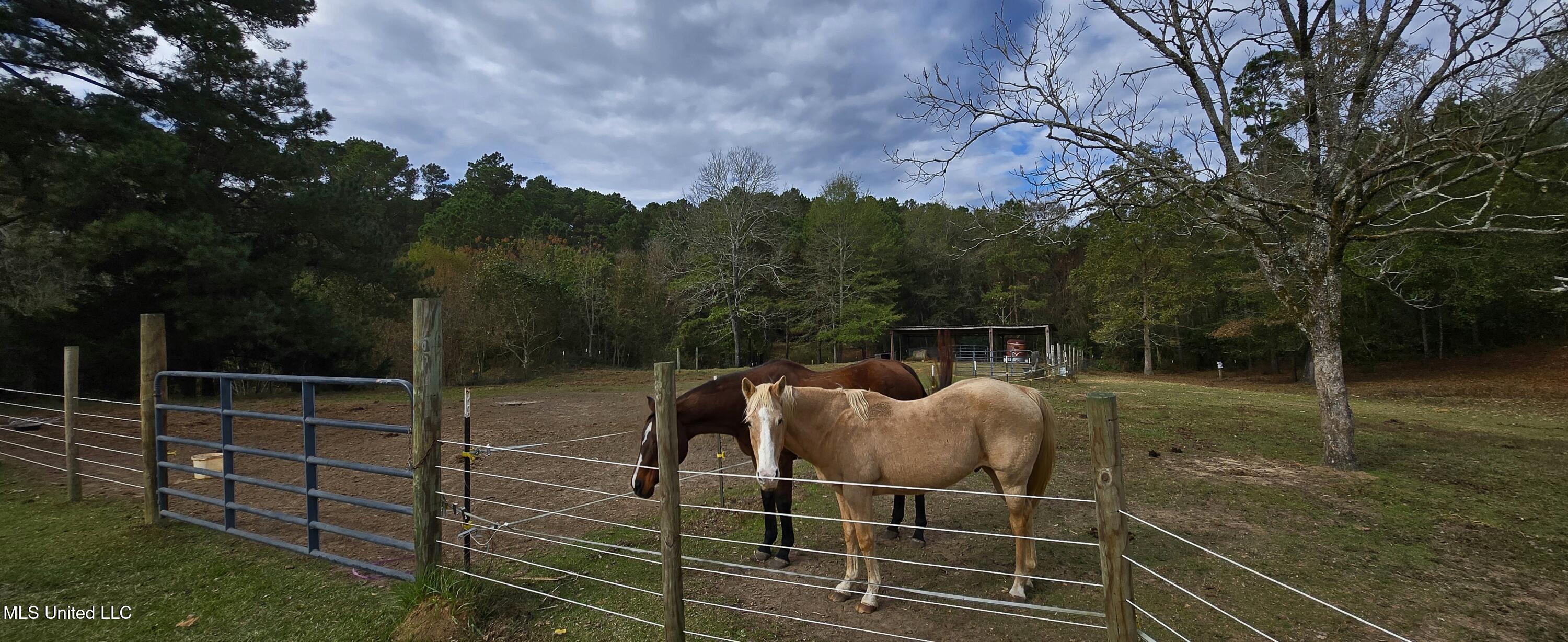 37 Good Hope Road Columbia, MS 39429 - Photo 114 of 127 20251129_133613