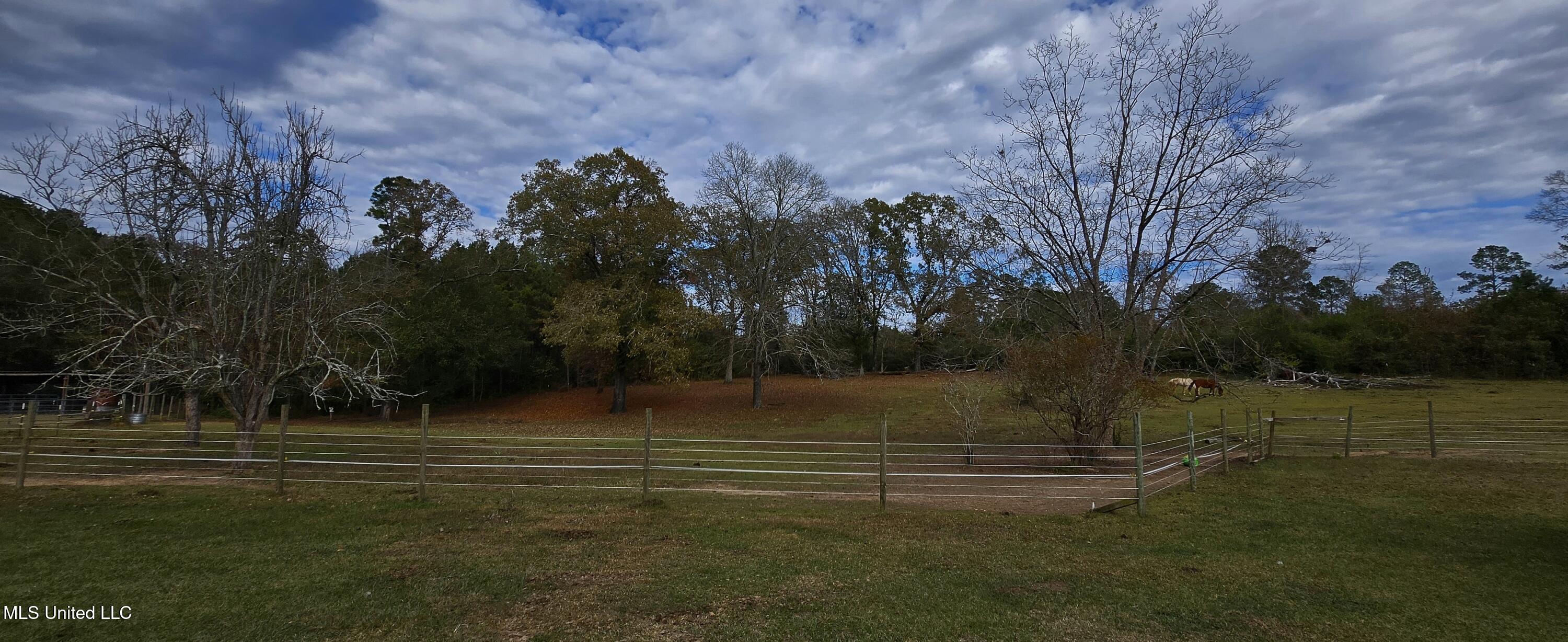 37 Good Hope Road Columbia, MS 39429 - Photo 117 of 127 20251129_133706