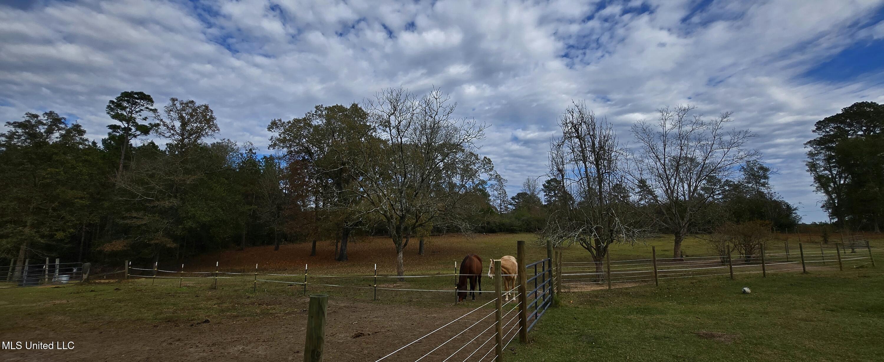 37 Good Hope Road Columbia, MS 39429 - Photo 122 of 127 20251129_133849