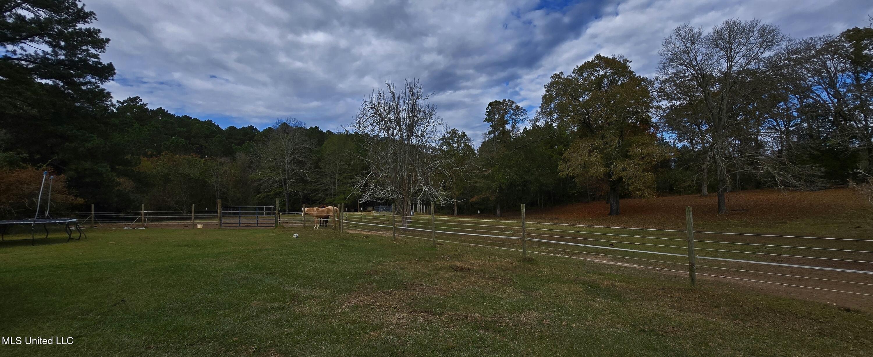 37 Good Hope Road Columbia, MS 39429 - Photo 123 of 127 20251129_133923