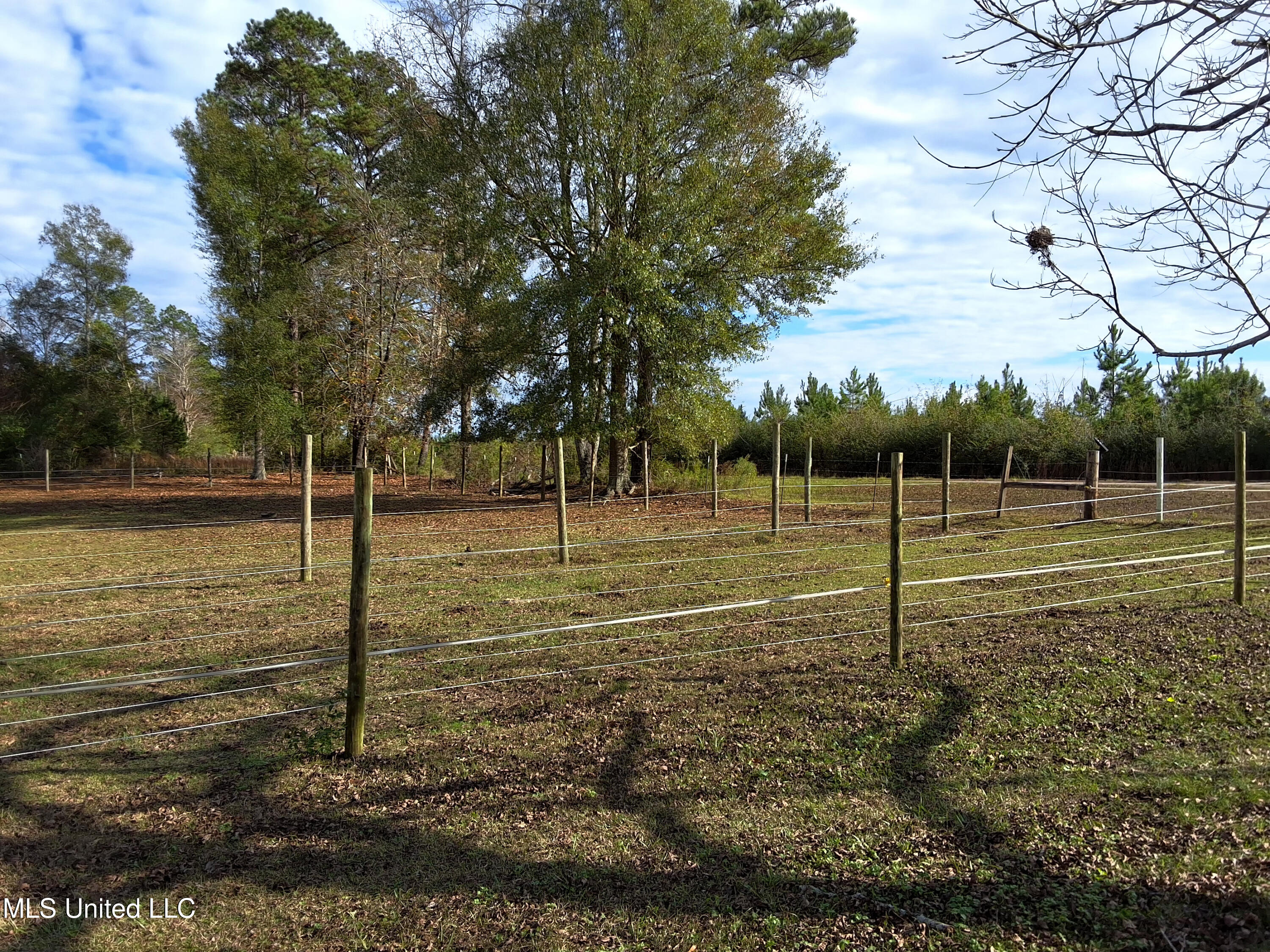 37 Good Hope Road Columbia, MS 39429 - Photo 124 of 127 20251129_134828