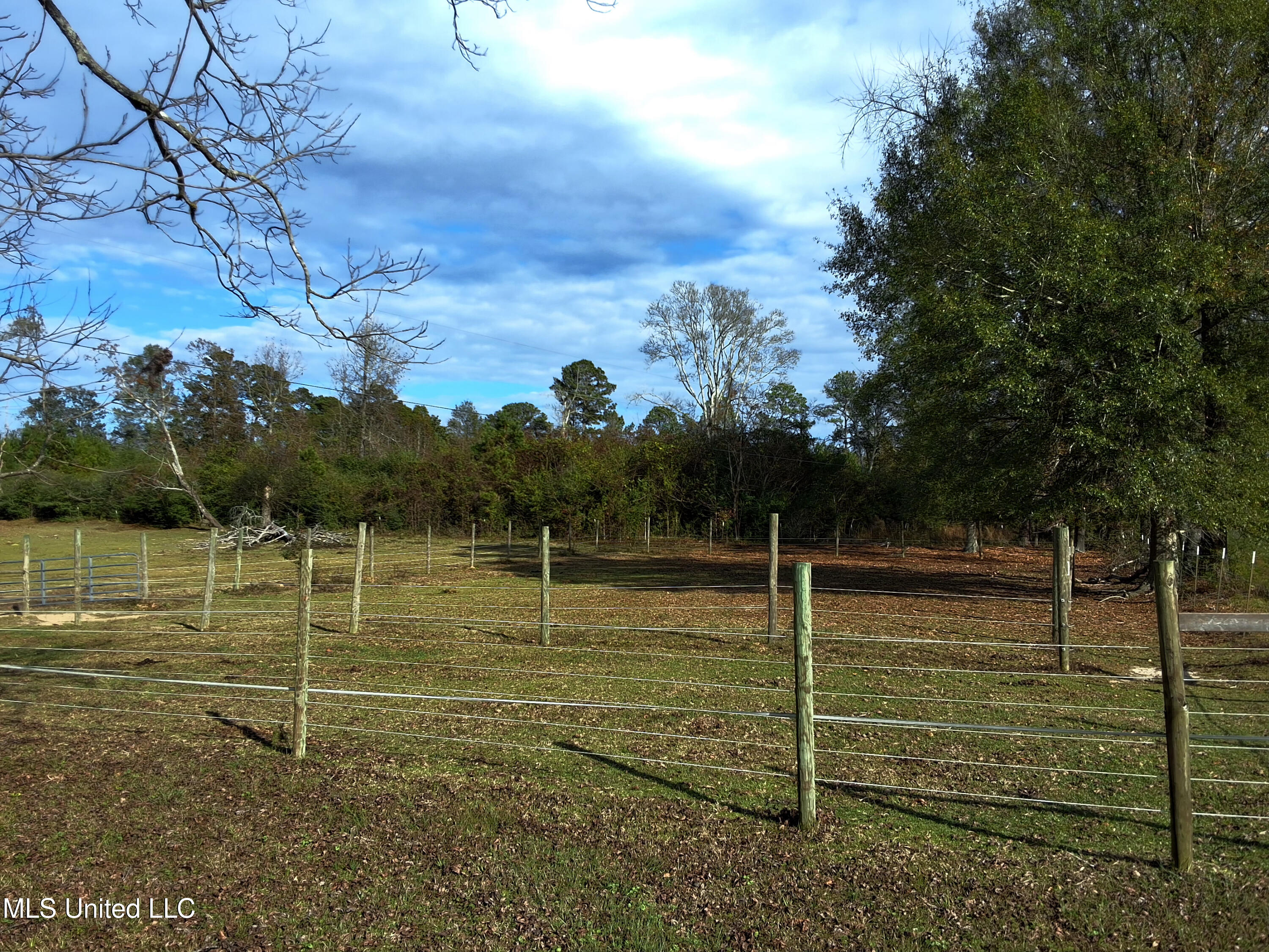 37 Good Hope Road Columbia, MS 39429 - Photo 125 of 127 20251129_134853