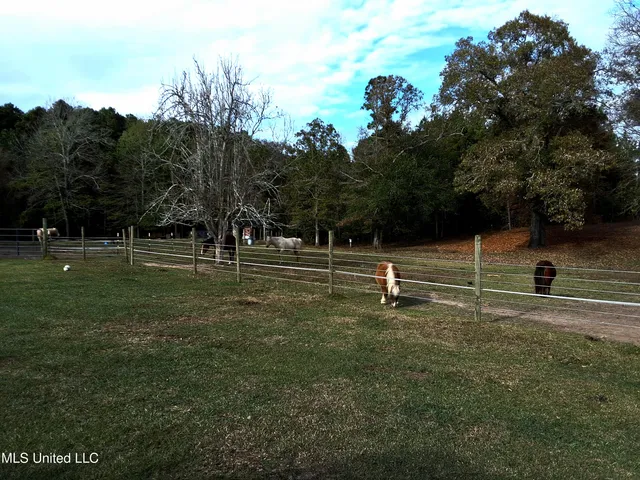 $299,000 | 37 Good Hope Road, Columbia, MS 39429