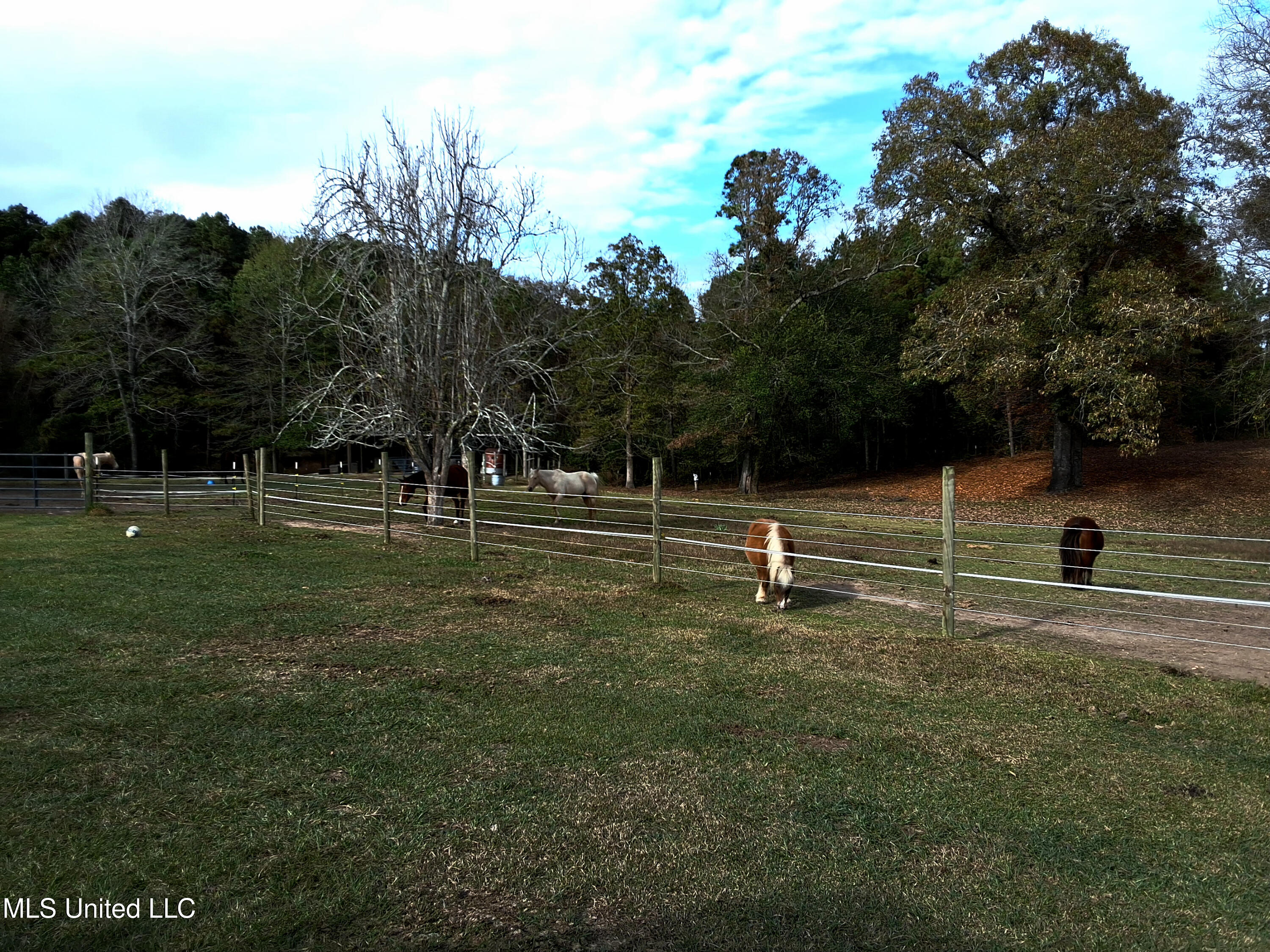 37 Good Hope Road Columbia, MS 39429 - Photo 126 of 127 20251129_135300