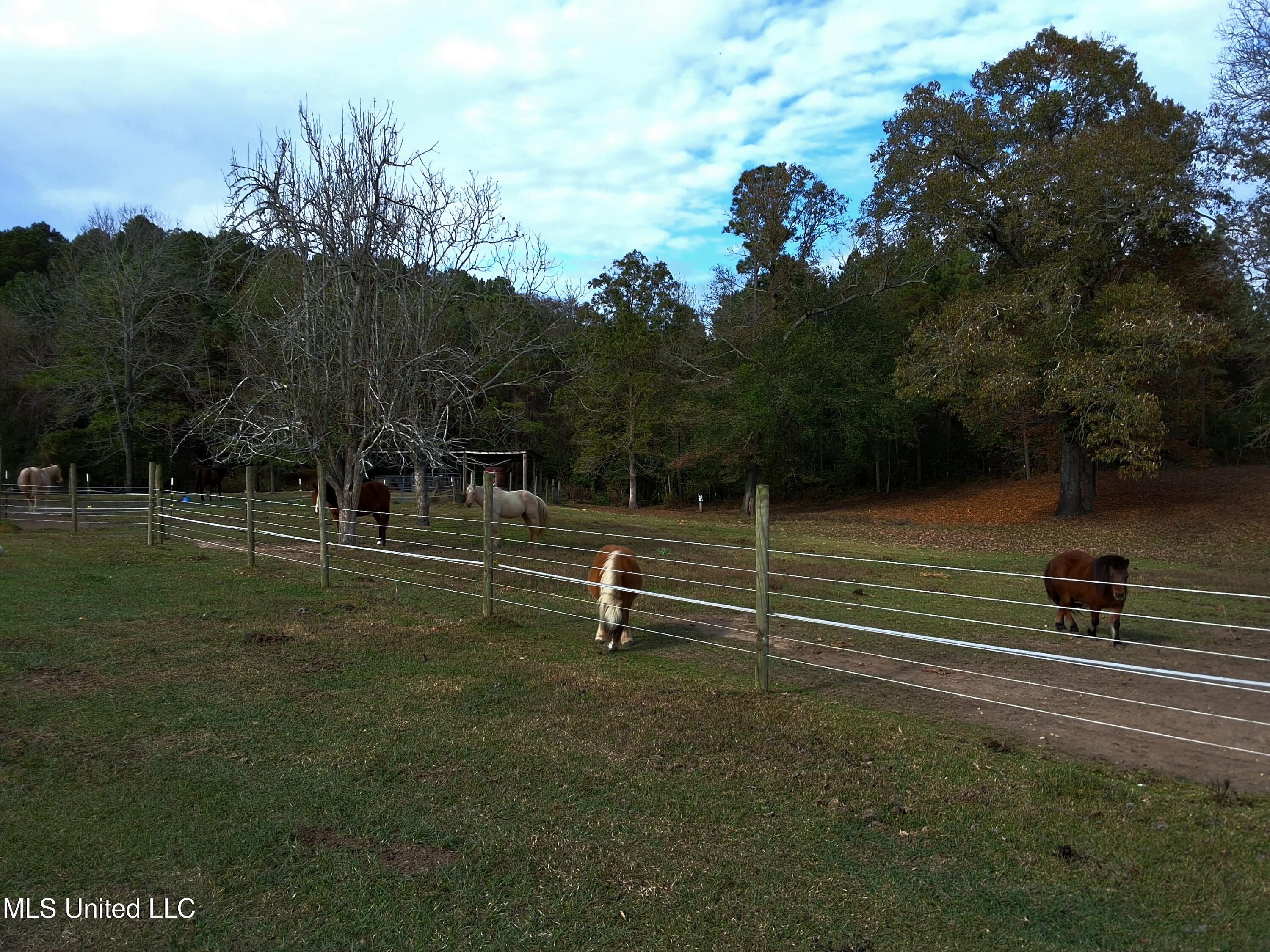 37 Good Hope Road Columbia, MS 39429 - Photo 127 of 127 20251129_135306