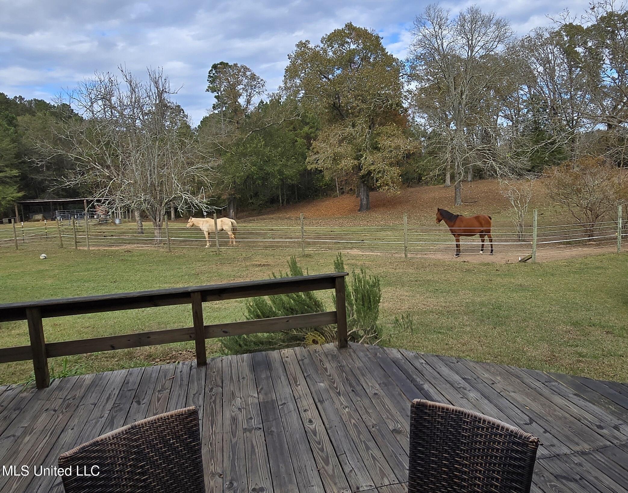 37 Good Hope Road Columbia, MS 39429 - Photo 15 of 127 20251129_134321