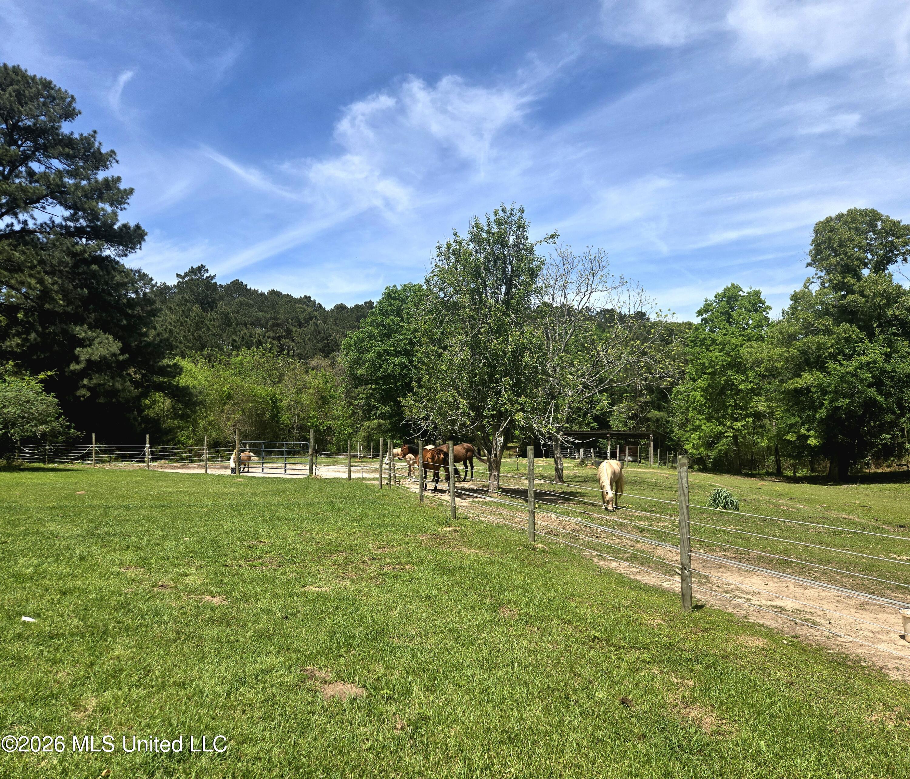 37 Good Hope Road Columbia, MS 39429 - Photo 7 of 86 23134